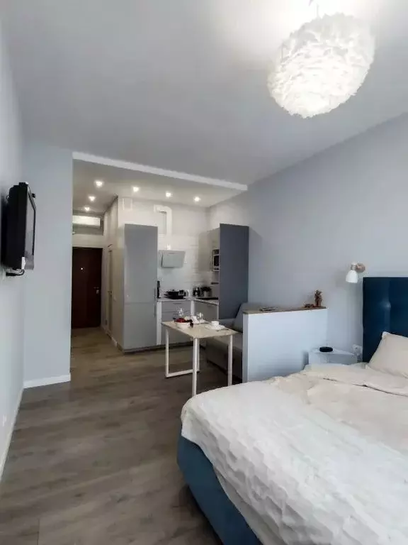 Студия Санкт-Петербург Московский просп., 183-185Ак8А (26.0 м) - Фото 1