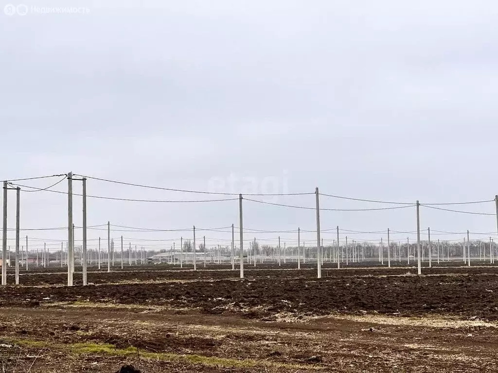 Участок в село Новобессергеневка, Садовая улица (5.6 м) - Фото 0