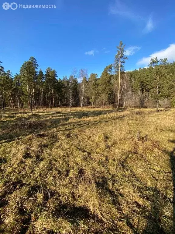 Участок в село Чепош, Трактовая улица (12 м) - Фото 1