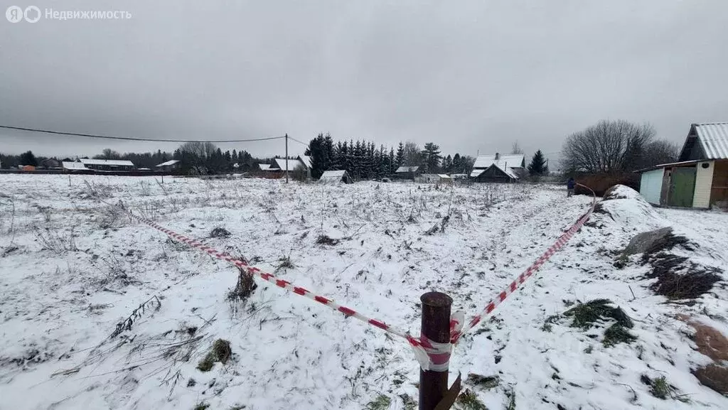 Участок в Клопицкое сельское поселение, деревня Голубовицы (22 м) - Фото 0