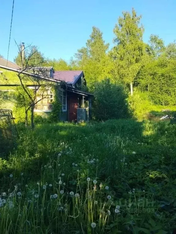 Дом в Ленинградская область, Кировское городское поселение, Грибное ... - Фото 1