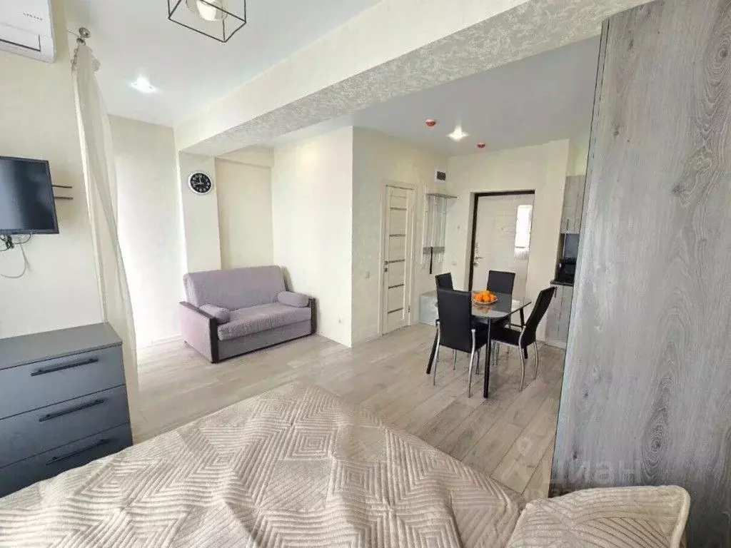 1-к кв. Краснодарский край, Сочи городской округ, Дагомыс пгт ул. ... - Фото 2