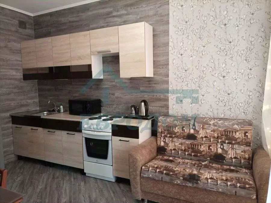 1-к кв. Новосибирская область, Новосибирск ул. Александра Чистякова, ... - Фото 2