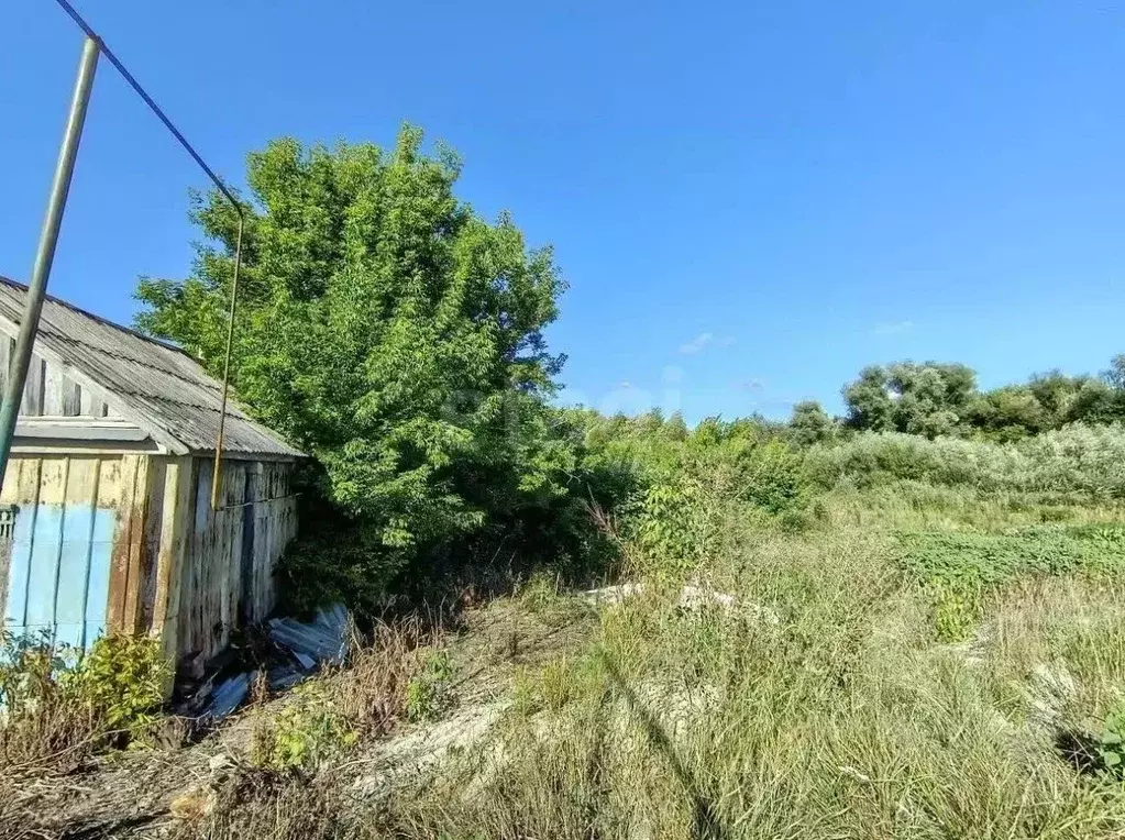 Участок в Белгородская область, Новооскольский муниципальный округ, с. ... - Фото 1