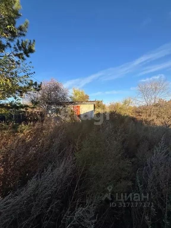 Участок в Амурская область, Благовещенск Дружба СНТ,  (6.13 сот.) - Фото 1