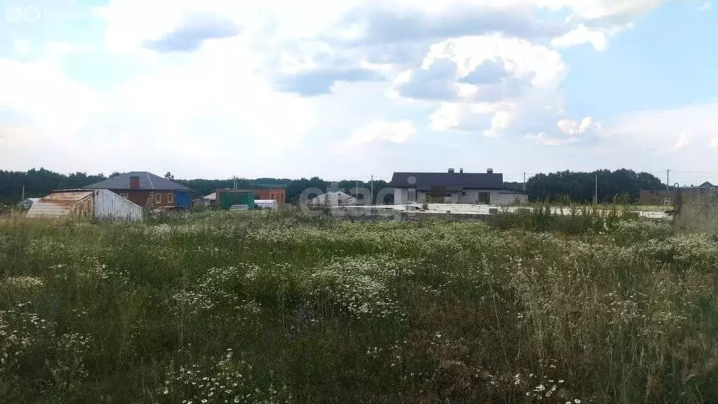 Участок в Белгородский район, село Стрелецкое (20.42 м) - Фото 1