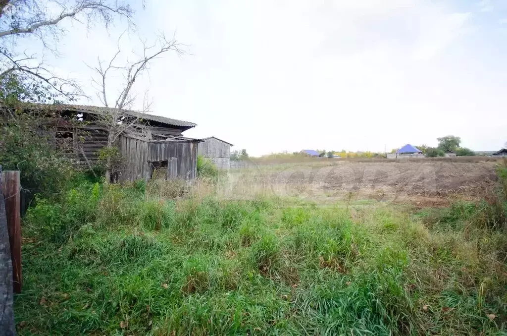 Участок в Тюменская область, Ялуторовский муниципальный округ, деревня ... - Фото 2