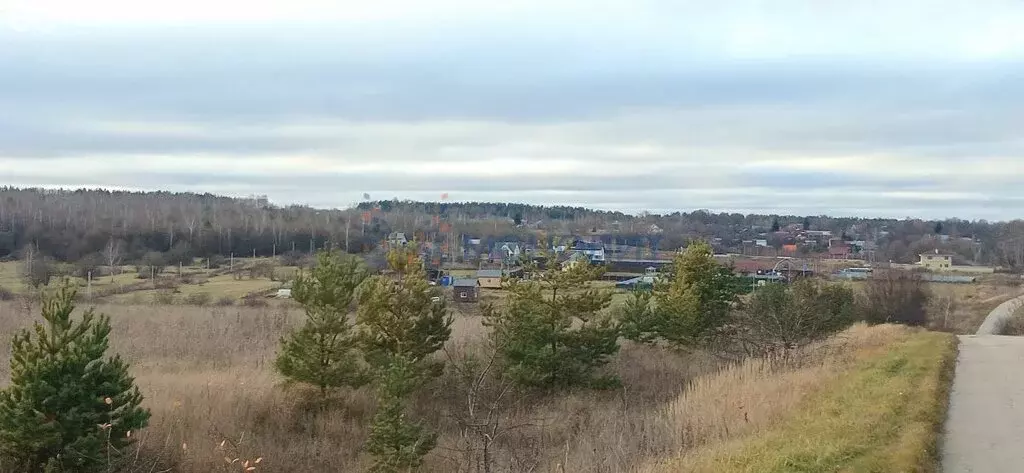 Участок в Нижегородская область, Дальнеконстантиновский муниципальный ... - Фото 1