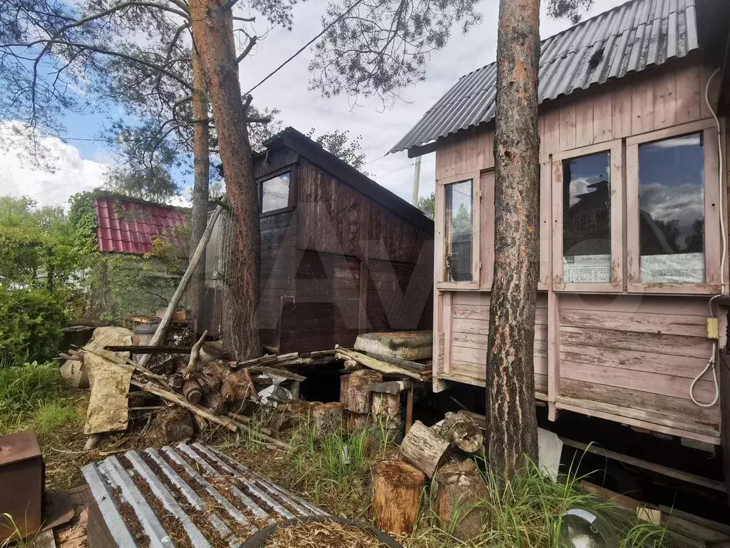 Дом 60 м на участке 6,5 сот. - Фото 1