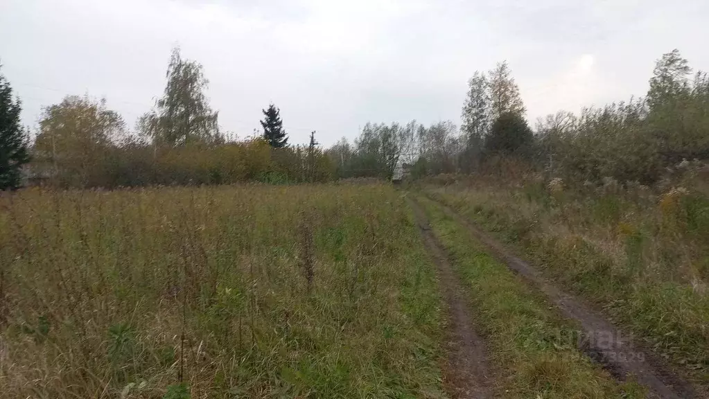 Участок в Орловская область, Орловский муниципальный округ, д. Малая ... - Фото 2
