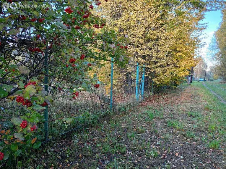 Участок в Тверская область, Калининский муниципальный округ, деревня ... - Фото 1