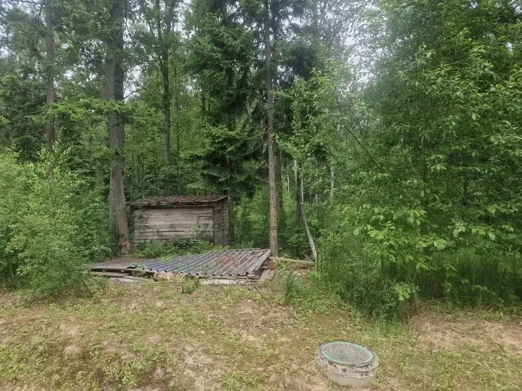 Участок в Московская область, Одинцовский городской округ, д. ... - Фото 1