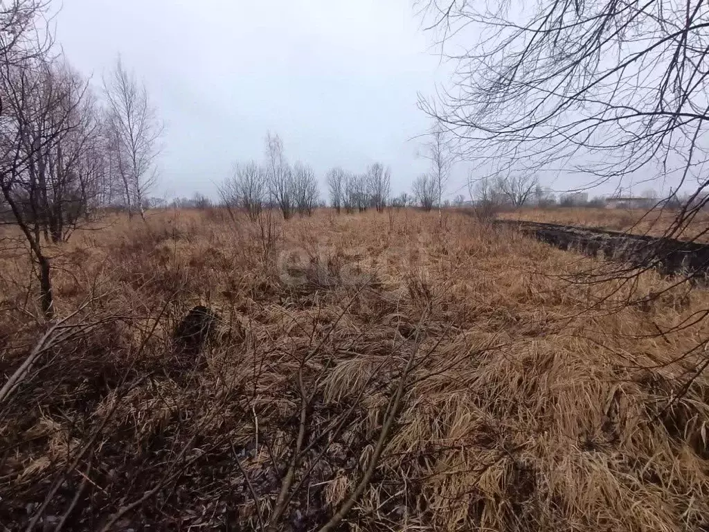 Участок в Тульская область, Богородицкий район, Товарковское с/пос, д. ... - Фото 1