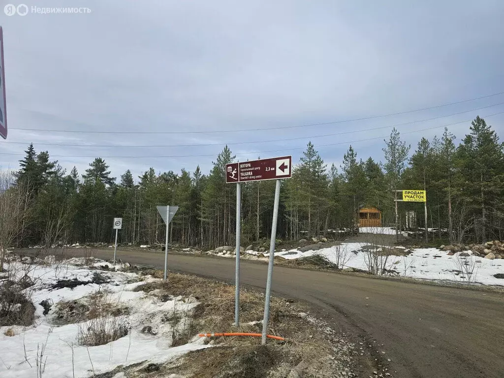 Участок в Заозерское сельское поселение, местечко Пиньгуба (1 м) - Фото 1