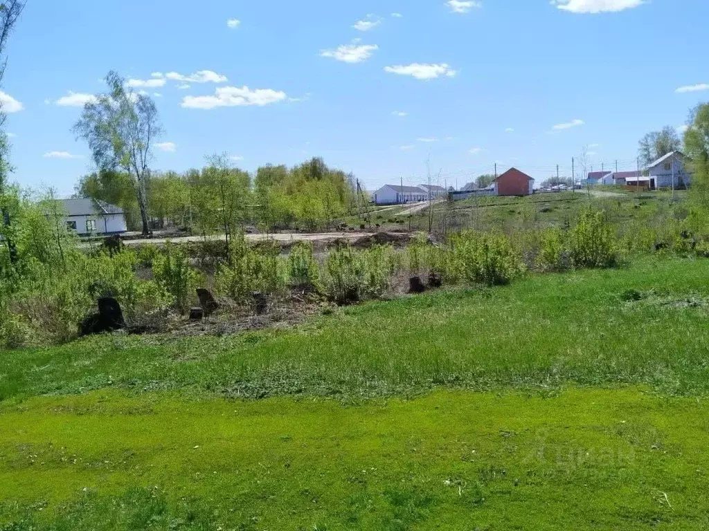 Участок в Новосибирская область, Ордынское рп ул. Урожайная, 5 (10.0 ... - Фото 2