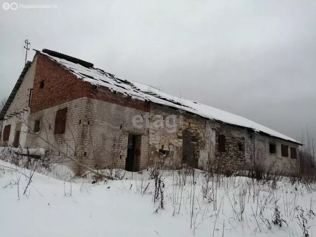 Участок в Вологодская область, рабочий посёлок Чагода (85.8 м) - Фото 1