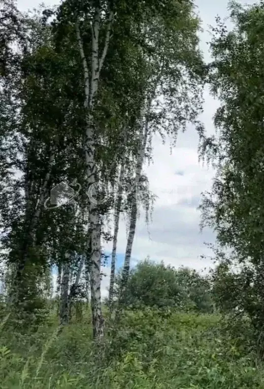 Участок в Тюменская область, Тюменский район, д. Решетникова  (4.0 ... - Фото 1