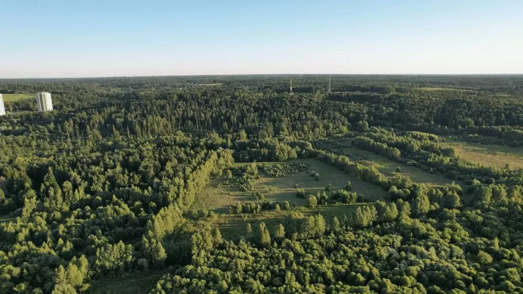 Участок в Московская область, Звенигород Одинцовский городской округ, ... - Фото 1