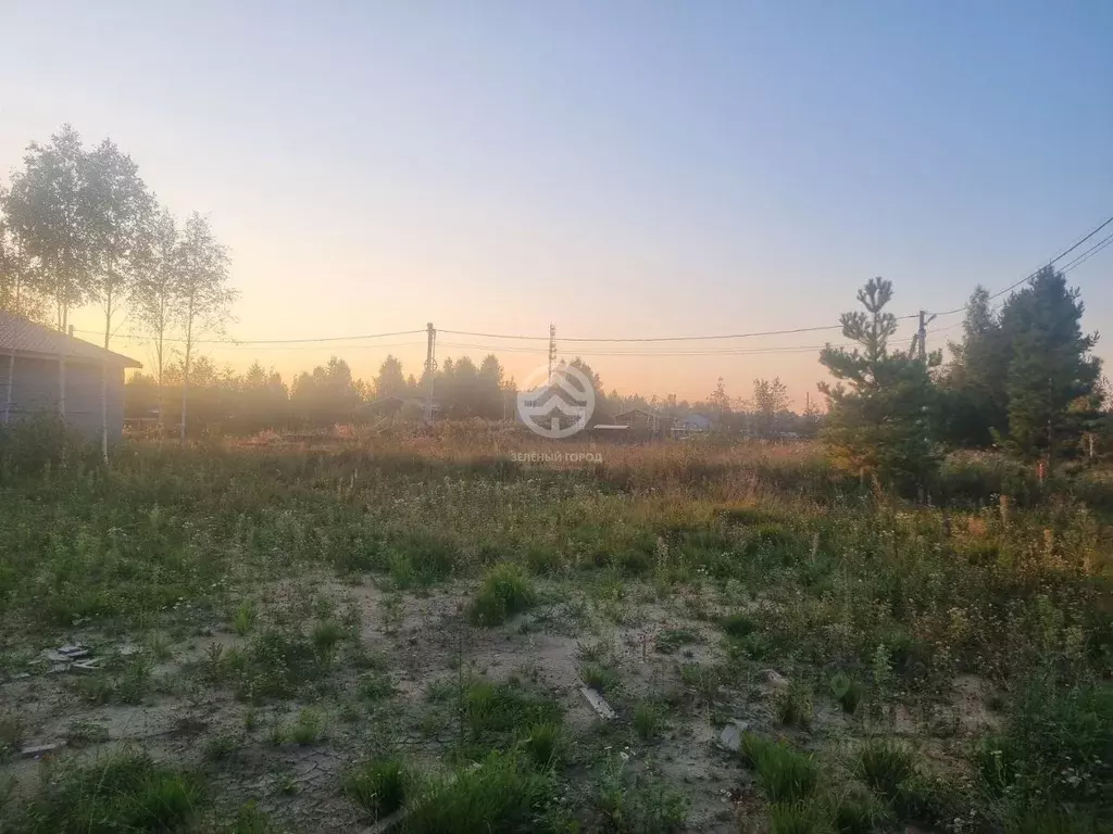 участок в московская область, солнечногорск городской округ, семейный . - Фото 0