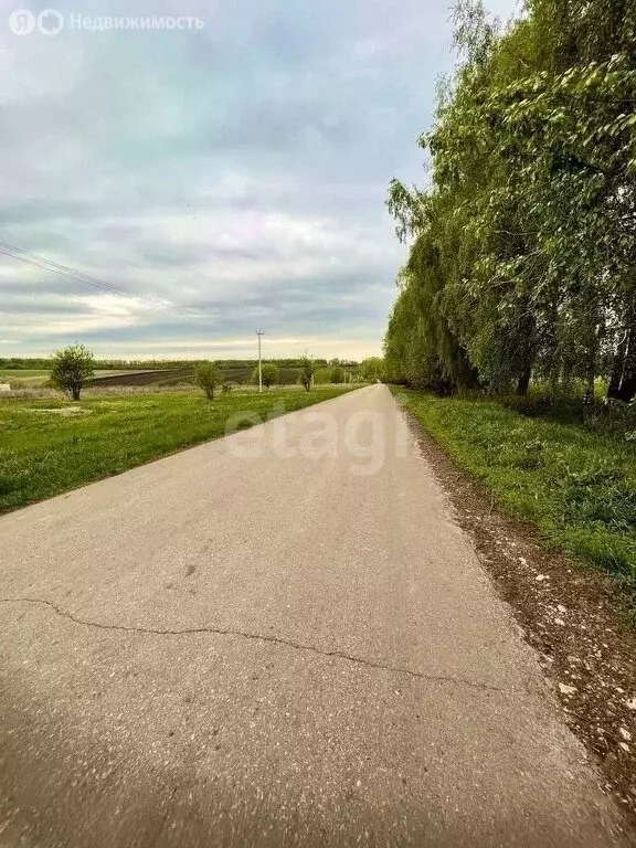 Участок в Щёкинский район, муниципальное образование Лазаревское, село ... - Фото 1