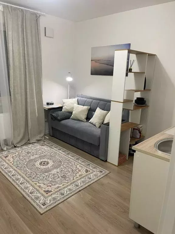 Студия Санкт-Петербург ул. Пахомовская, 21 (18.0 м) - Фото 2