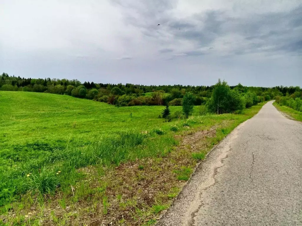 Участок в Новгородская область, Окуловский район, Березовикское с/пос, ... - Фото 2