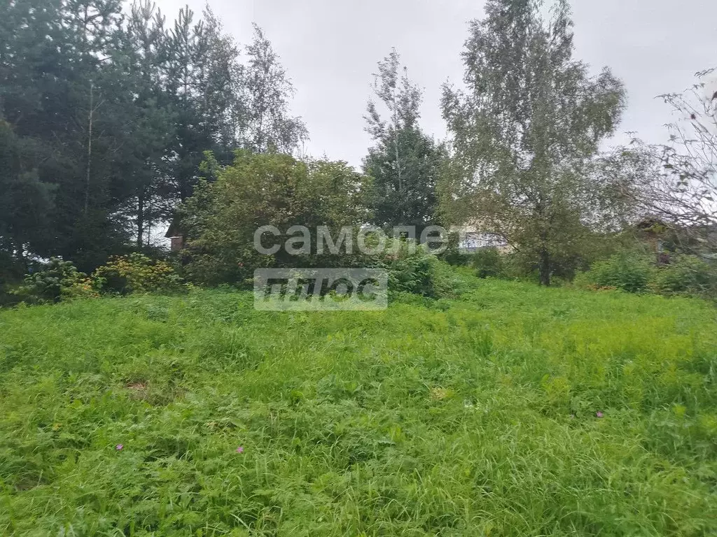 Участок в Московская область, Дмитровский муниципальный округ, д. ... - Фото 2