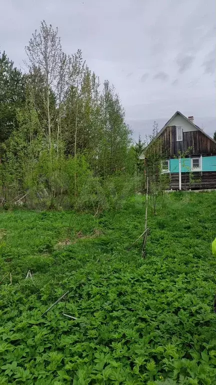 Дом 29,5 м на участке 13 сот. - Фото 0