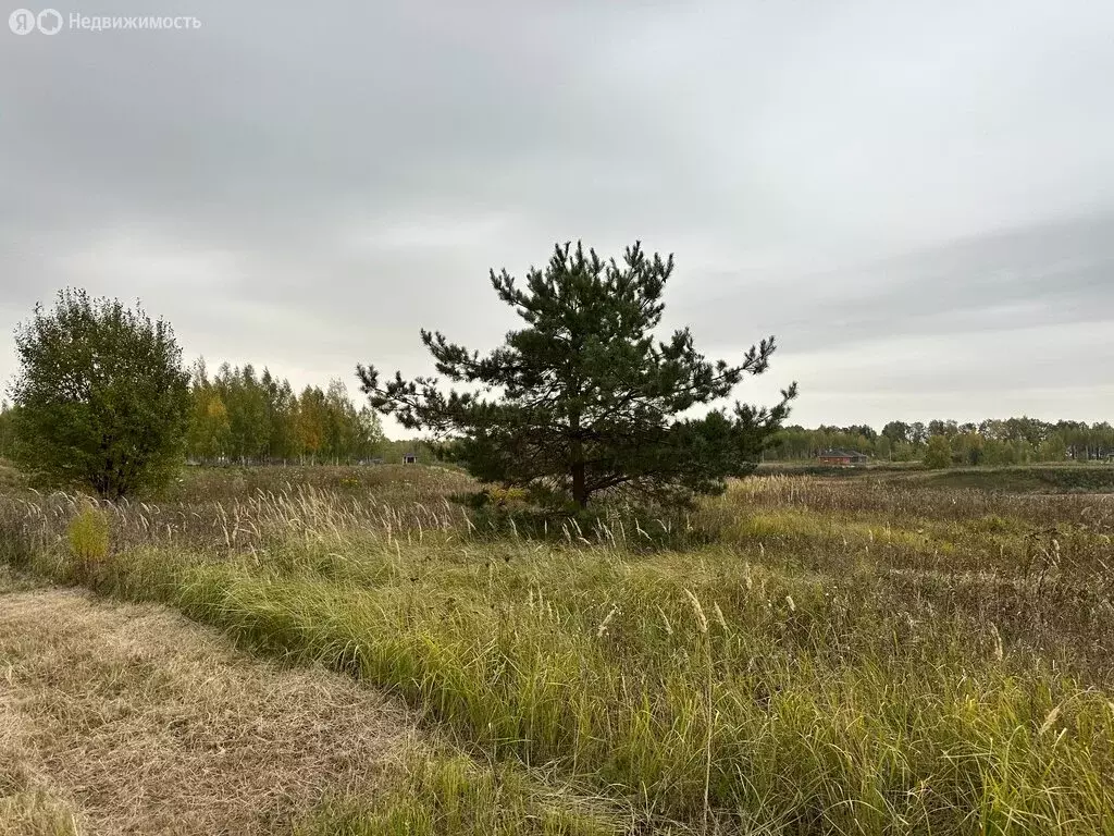 Участок в Глебово, КП Алешкина роща (12 м) - Фото 0