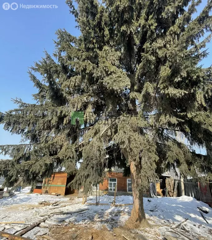 Дом в Усольский район, Железнодорожное муниципальное образование, село ... - Фото 1