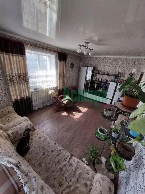 Дом в Забайкальский край, Чита с. Зыково, Багульная ул., 6 (81 м) - Фото 1