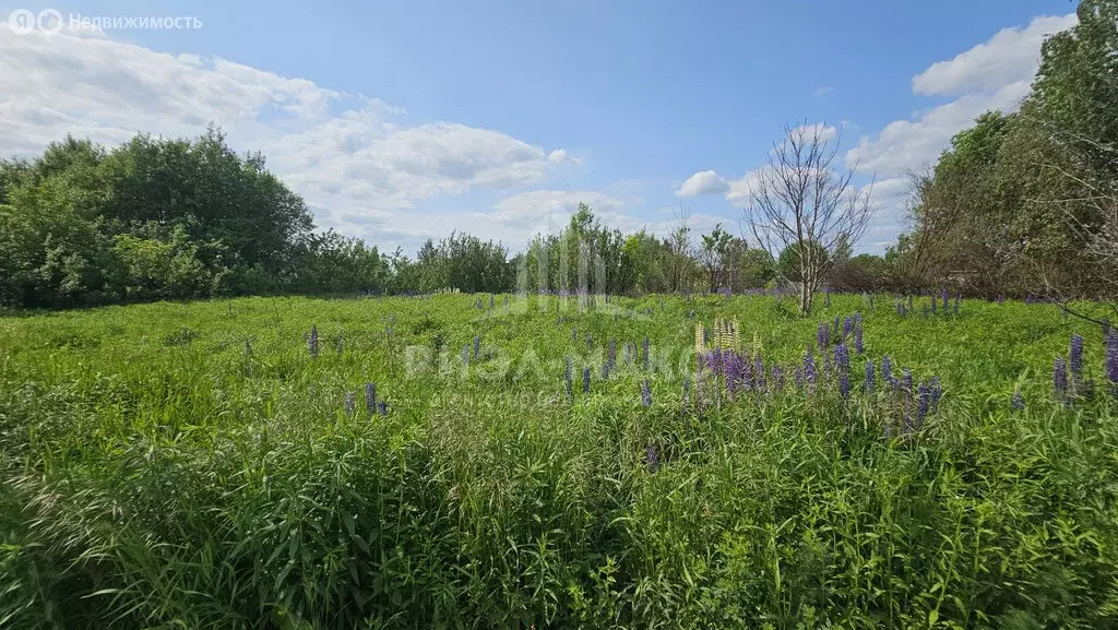 Участок в село Толмачево, СДТ Реклама (6 м) - Фото 0