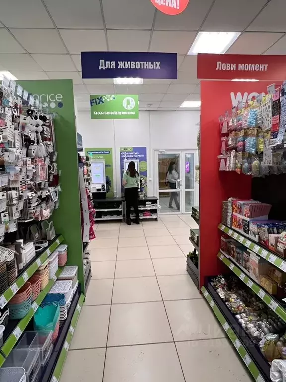 Торговая площадь в Кемеровская область, Ленинск-Кузнецкий ул. ... - Фото 0