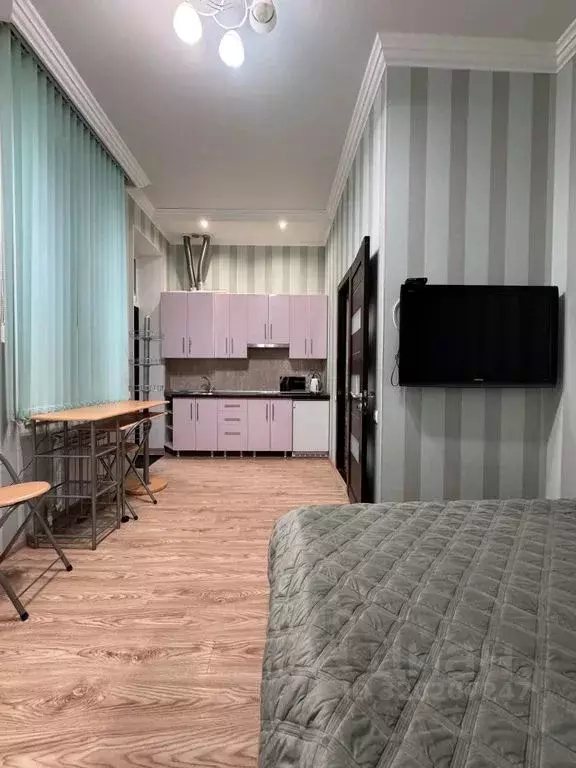 Студия Ставропольский край, Кисловодск Красноармейская ул., 5 (24.0 м) - Фото 1