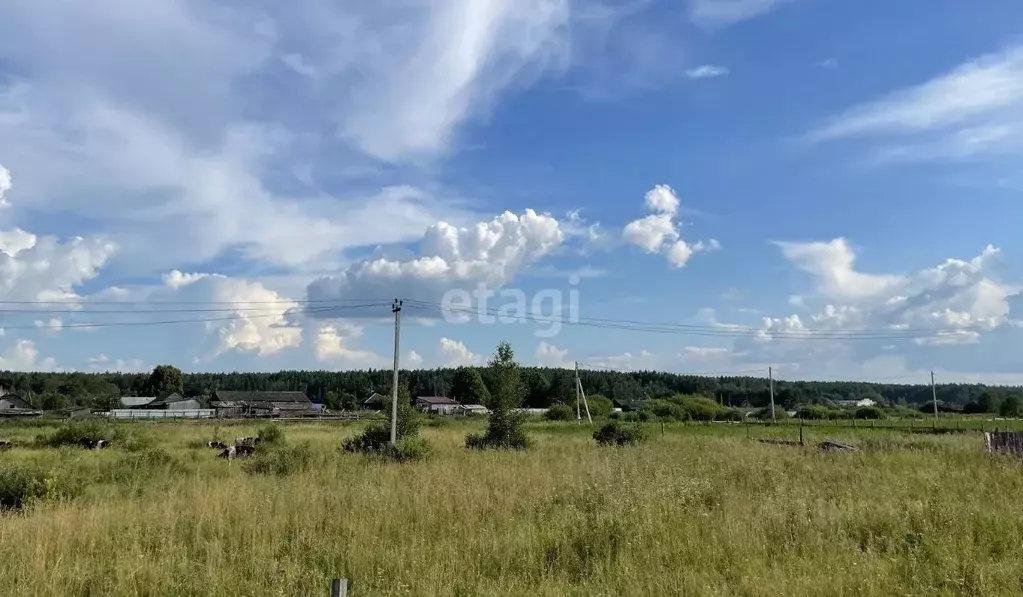 Участок в Свердловская область, Слободо-Туринский район, ... - Фото 1