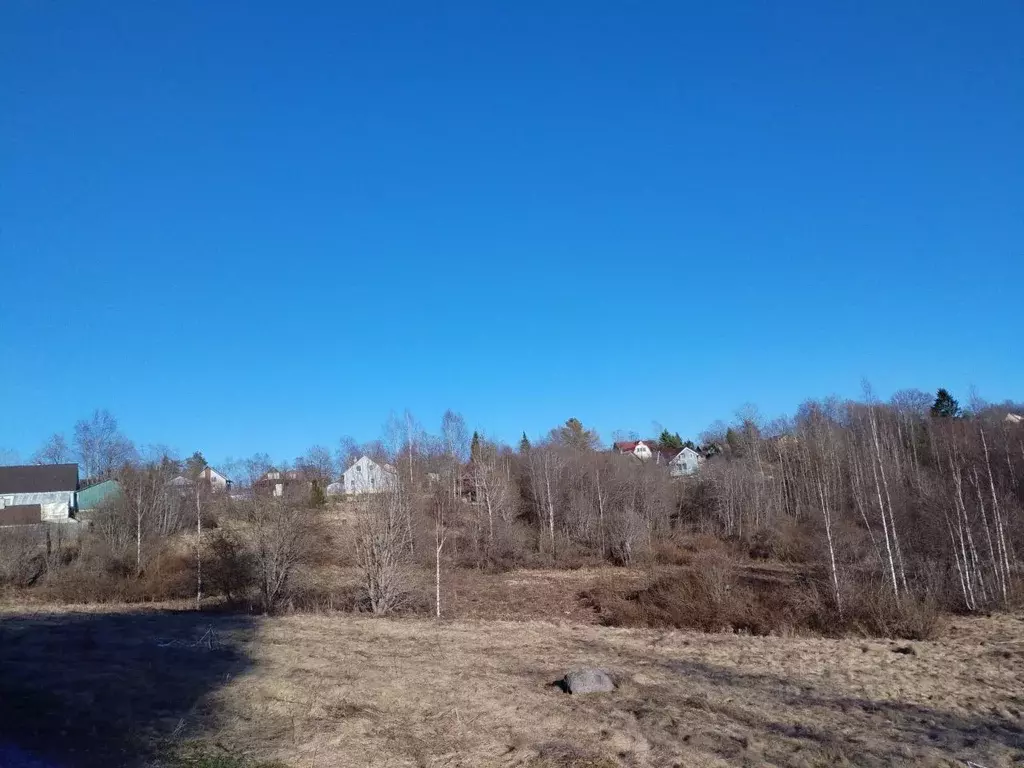 Участок в Ленинградская область, Всеволожский район, Куйвозовское ... - Фото 1