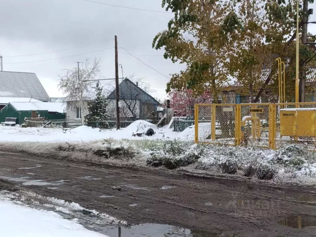 Дом в Алтайский край, Павловский район, с. Павловск ул. Панфилова, 6 ... - Фото 1