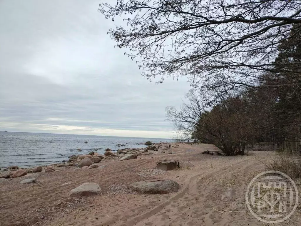 2-к кв. Ленинградская область, Выборгский район, Полянское с/пос, пос. ... - Фото 1