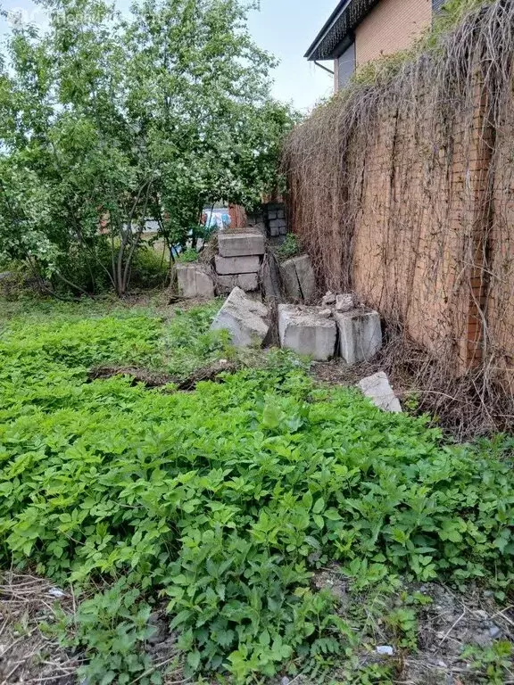 Участок в Новосибирск, СНТ Облепиха, Западная улица (6.5 м) - Фото 1