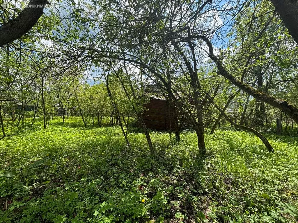 Участок в Калуга, территория ГК Березка-2 (4 м) - Фото 1