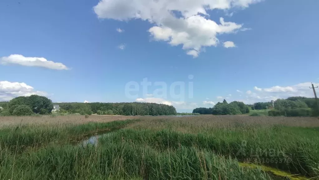 Участок в Смоленская область, Смоленский муниципальный округ, ... - Фото 1