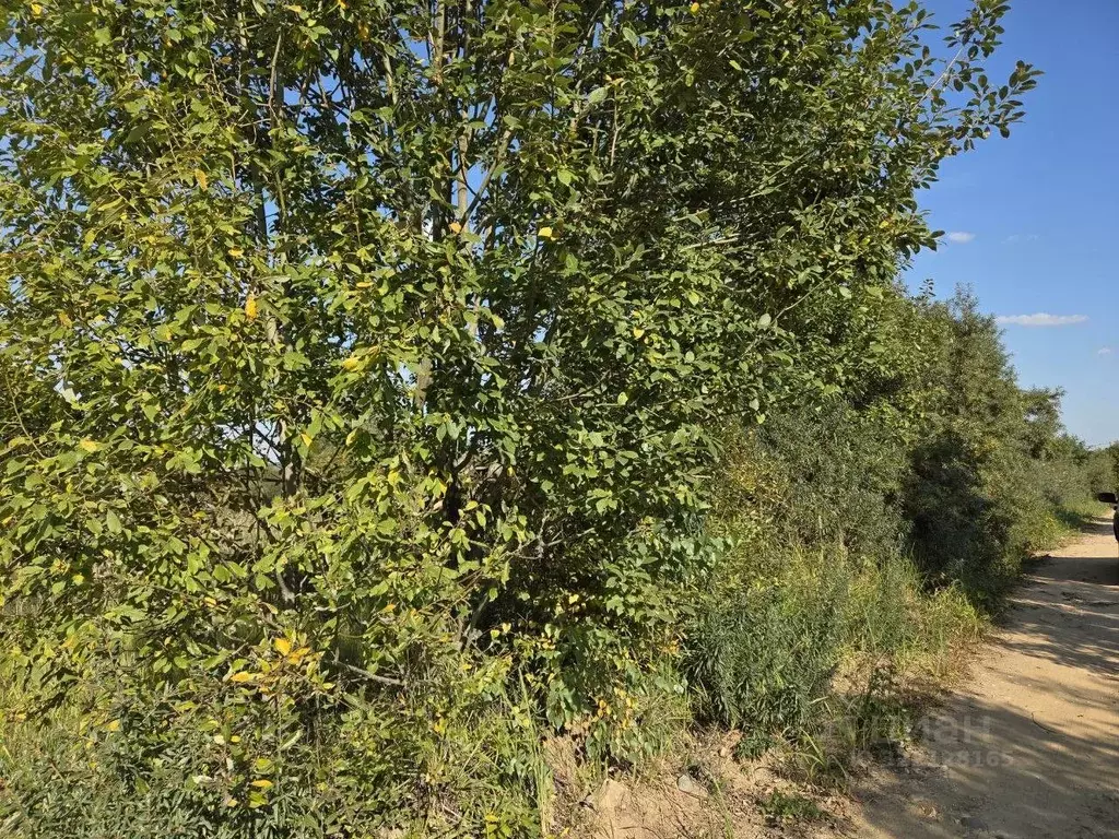 Участок в Московская область, Сергиево-Посадский городской округ, д. ... - Фото 2