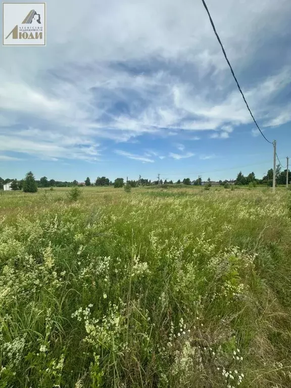 Участок в Новосибирская область, Новосибирский район, Станционный ... - Фото 0