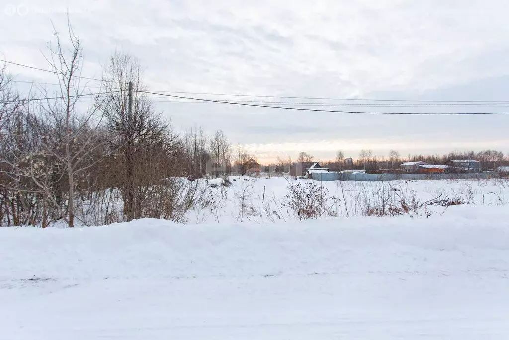 Участок в Тобольск, микрорайон Менделеево (11 м) - Фото 2