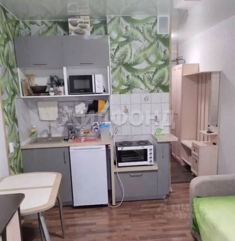 Студия Новосибирская область, Новосибирск ул. Виктора Уса, 15 (19.5 м) - Фото 0