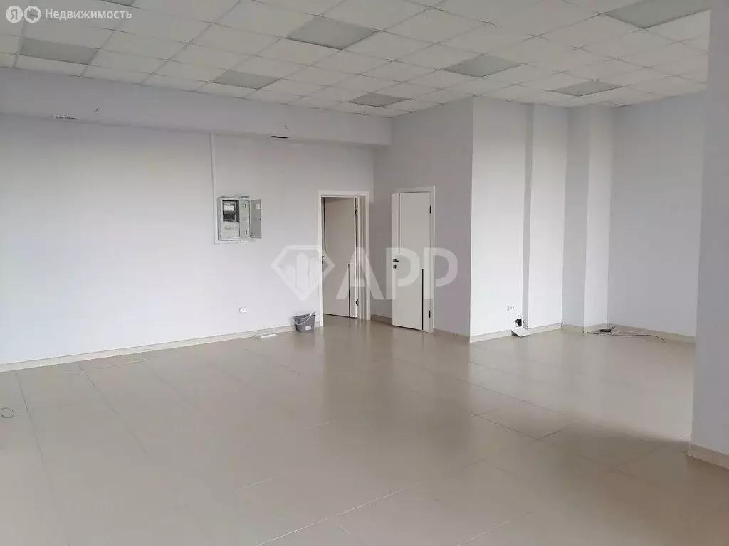 Помещение свободного назначения (54 м) - Фото 2