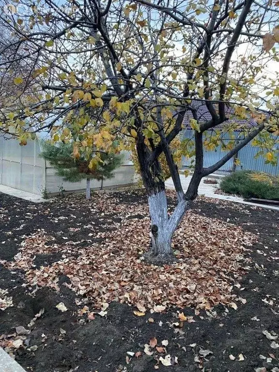 Участок в село Нежинка, Флотский переулок (6 м) - Фото 2