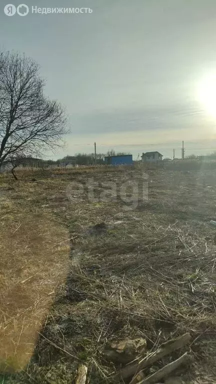 Участок в Калининградская область, Гурьевский муниципальный округ, СНТ ... - Фото 2