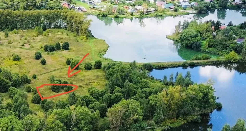 Участок в Московская область, Бронницы  (6.5 сот.) - Фото 1