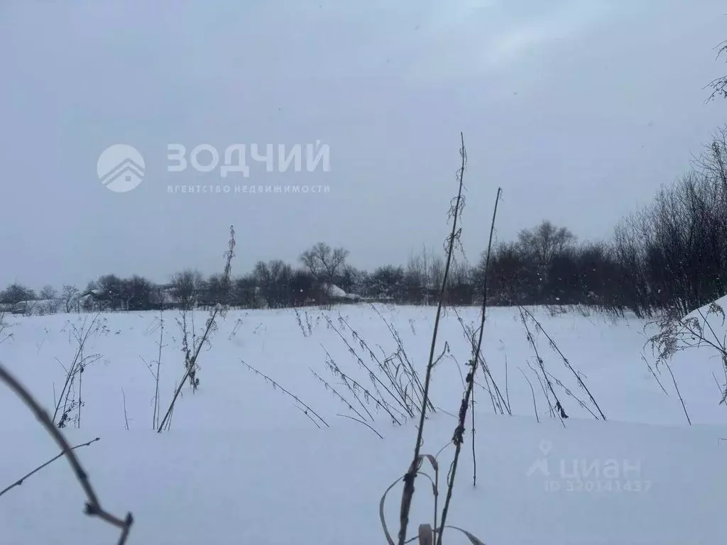 Участок в Чувашия, Чебоксарский муниципальный округ, Шинерпосинское ... - Фото 1